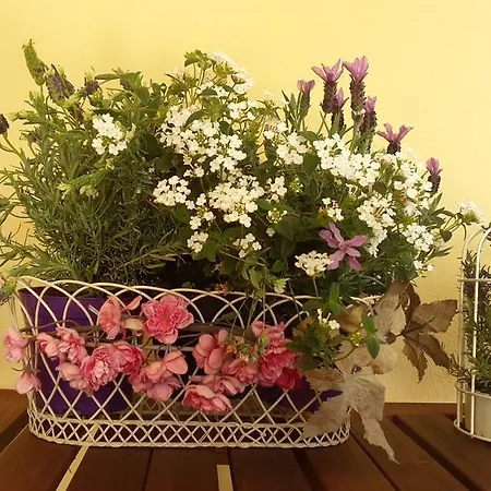 B&B Sogno D'Estate Moneglia