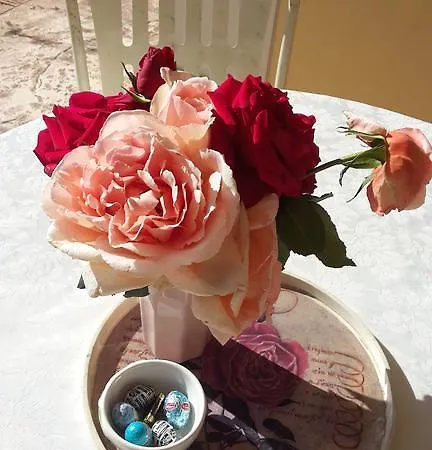 Bed and Breakfast B&B Sogno D'Estate *
