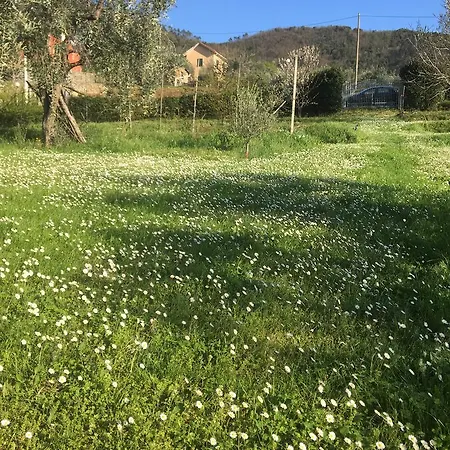 Bed and Breakfast B&B Sogno D'Estate Moneglia